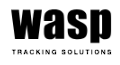 wasp