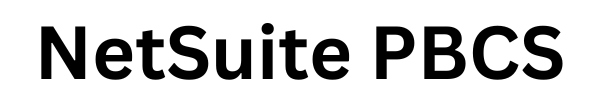 NetSuite Planning-1
